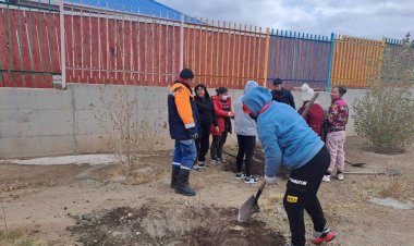 ТӨРИЙН АЛБАН ХААГЧИД "НЭГ ХАМТ ОЛОН НЭГ САЙН ДУРЫН АЖИЛ" АРГА ХЭМЖЭЭНД НЭГДЭЖ МОД ТАРЬЛАА.