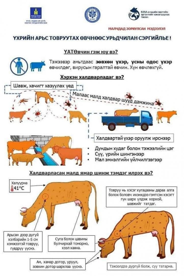 МАЛЧИД, ИРГЭДИЙН АНХААРАЛД