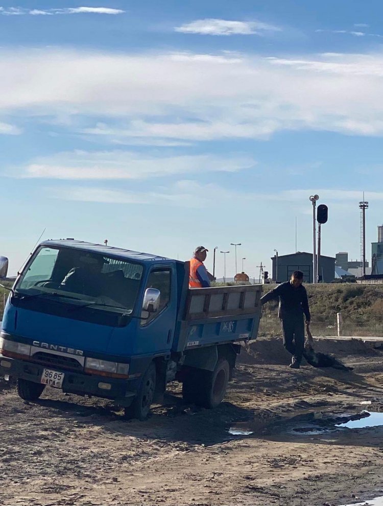 ЗОЛБИН НОХОЙ УСТГАХ АЖЛЫГ ЗОХИОН БАЙГУУЛЛАА.