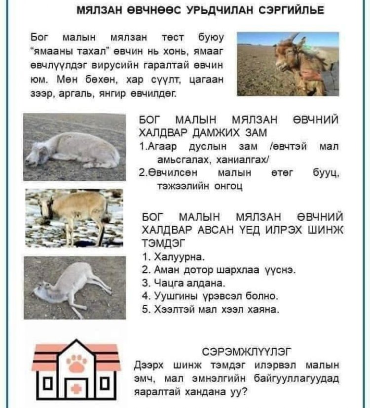 СЭРЭМЖЛҮҮЛЭГ