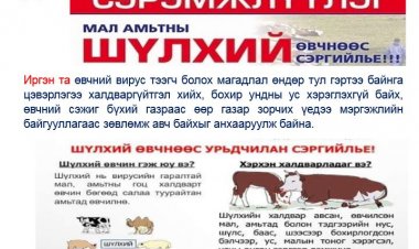 СЭРЭМЖЛҮҮЛЭГ