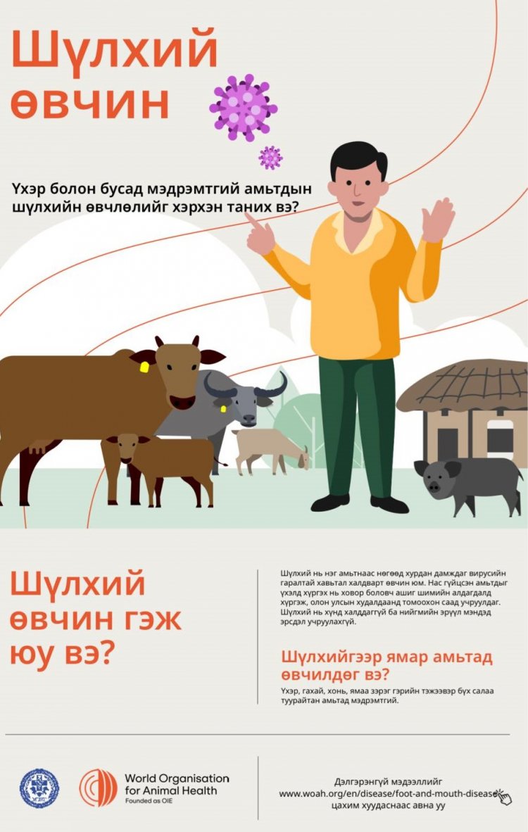 МЭДЭГДЭЛ