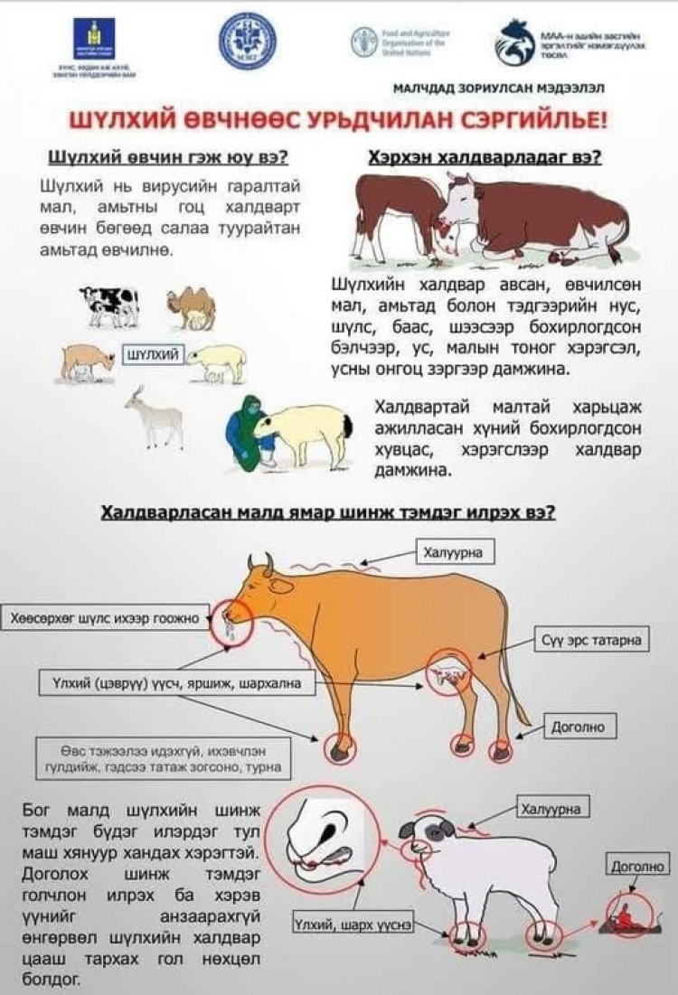 СЭРЭМЖЛҮҮЛЭГ