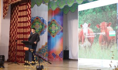 МАЛЧДЫН НЭГДСЭН ЗӨВЛӨГӨӨНИЙ ХҮРЭЭНД "МАЛ АЖ АХУЙГ ТЕХНОЛОГИЖУУЛАХ НЬ"  СЭДЭВТ СУРГАЛТЫГ E-NOMAD УХААЛАГ АЖ АХУЙН ПЛАТФОРМЫН ҮҮСГЭН БАЙГУУЛАГЧ Н.ОТГОНБАЯР ЗОХИОН БАЙГУУЛЛАА.