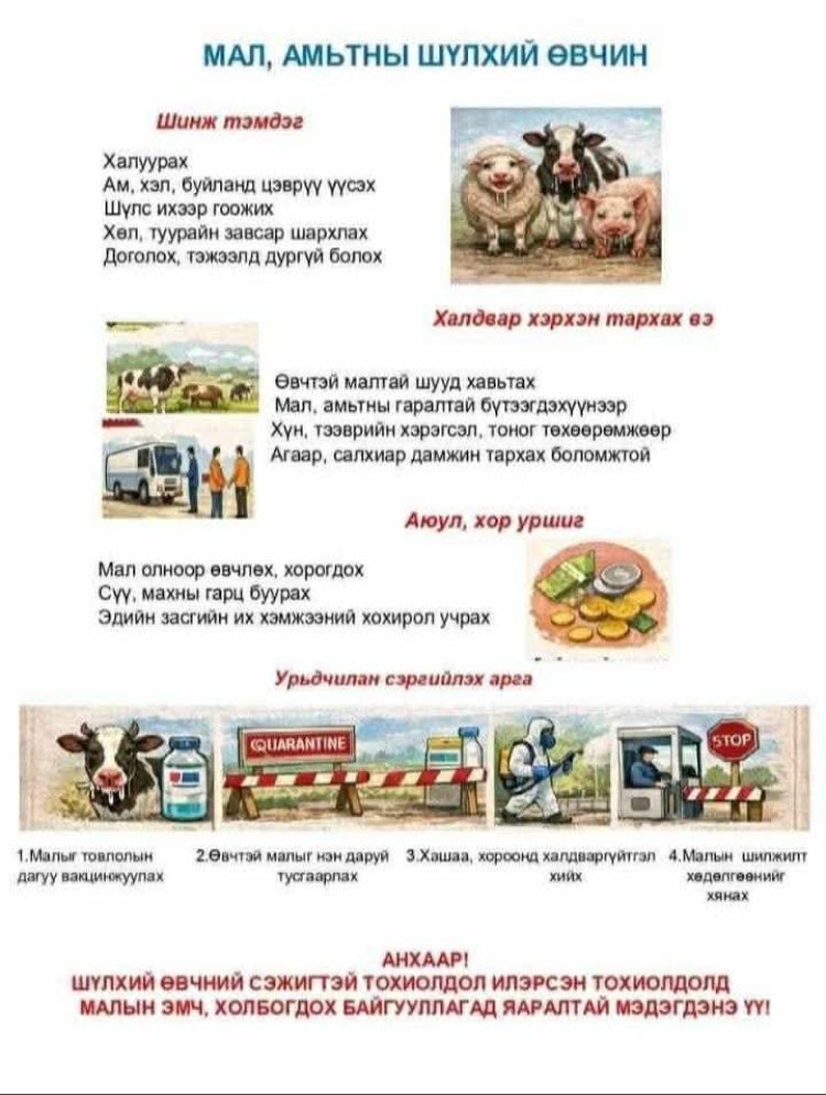 АНХААРУУЛГА