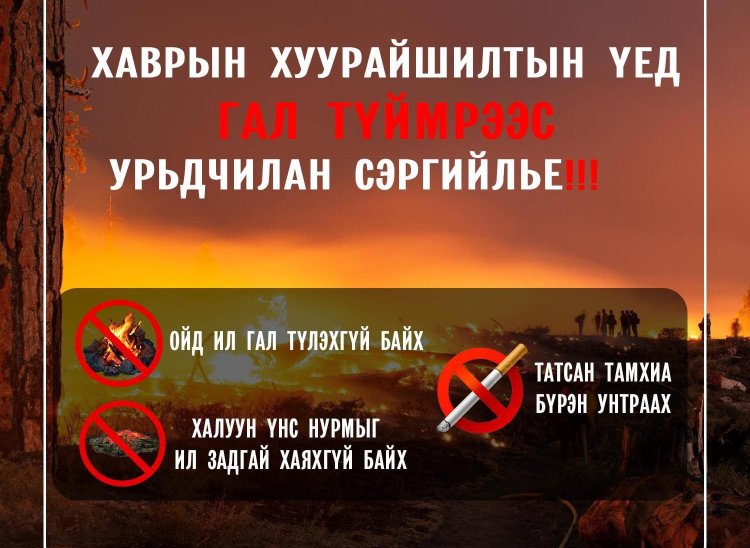 ОЙ ХЭЭРИЙН ТҮЙМРЭЭС УРЬДЧИЛАН СЭРГИЙЛЬЕ ‼ ‼